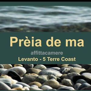 Preia De Ma